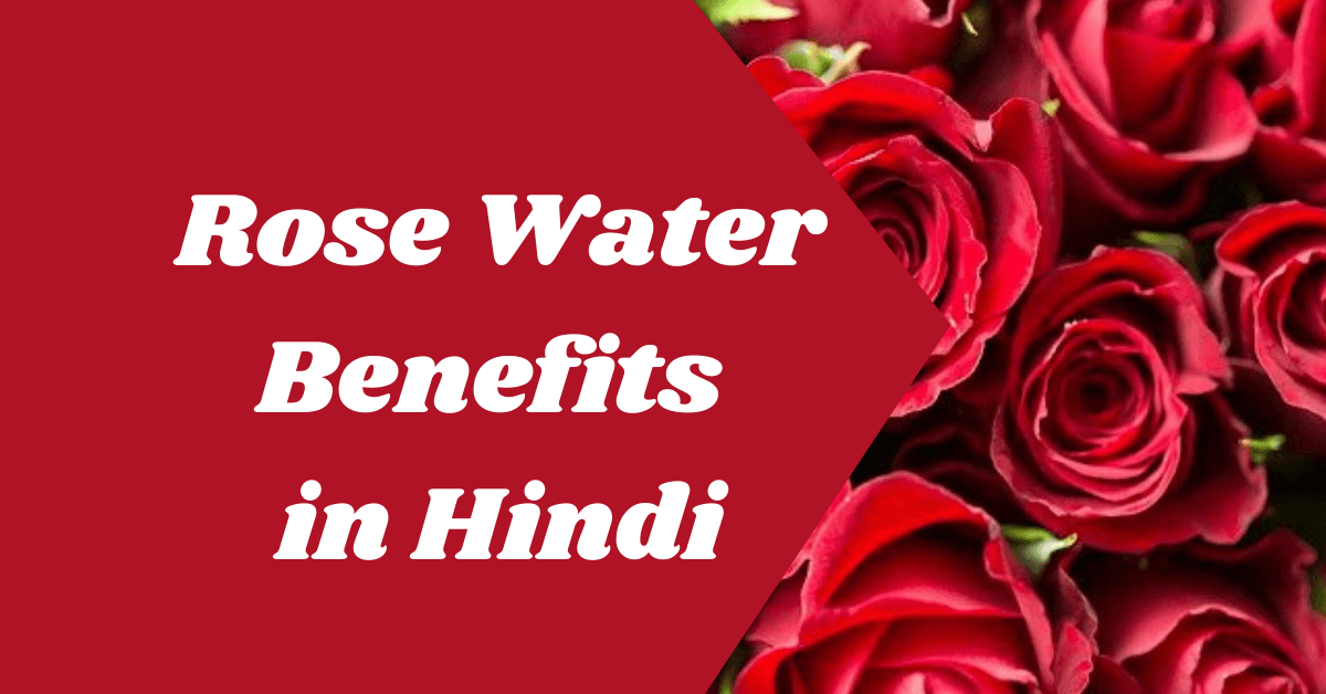 Rose water benefits in Hindi