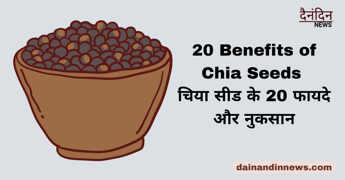 20 Benefits of Chia Seeds - चिया सीड के 20 फायदे और नुकसान
