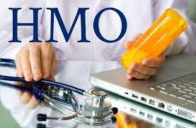 Health Maintenance Organization (HMO)